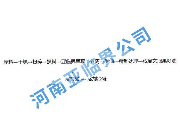 文冠果油加工設備